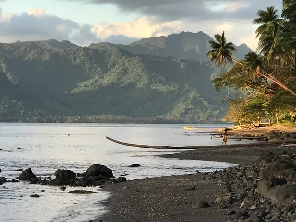 Fiji Landscape with ocean and palm tree